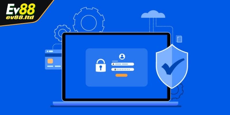 Thu thập và sử dụng thông tin