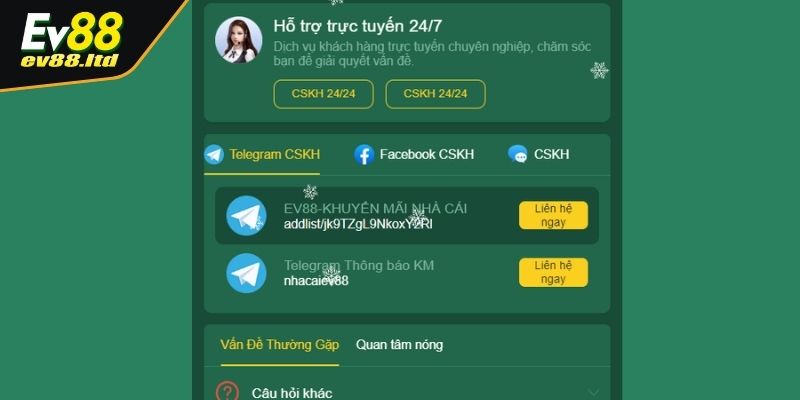 Dịch vụ chuyên nghiệp