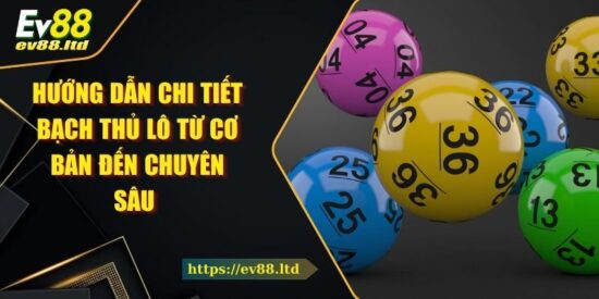 Hướng Dẫn Chi Tiết Bạch Thủ Lô Từ Cơ Bản Đến Chuyên Sâu